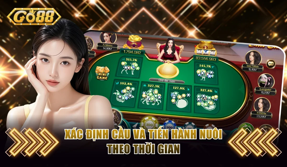 Bầu Cua Go88 - Game Dân Gian Với Cơ Chế Thưởng Hấp Dẫn 4 Xác định cầu và tiến hành nuôi theo thời gian